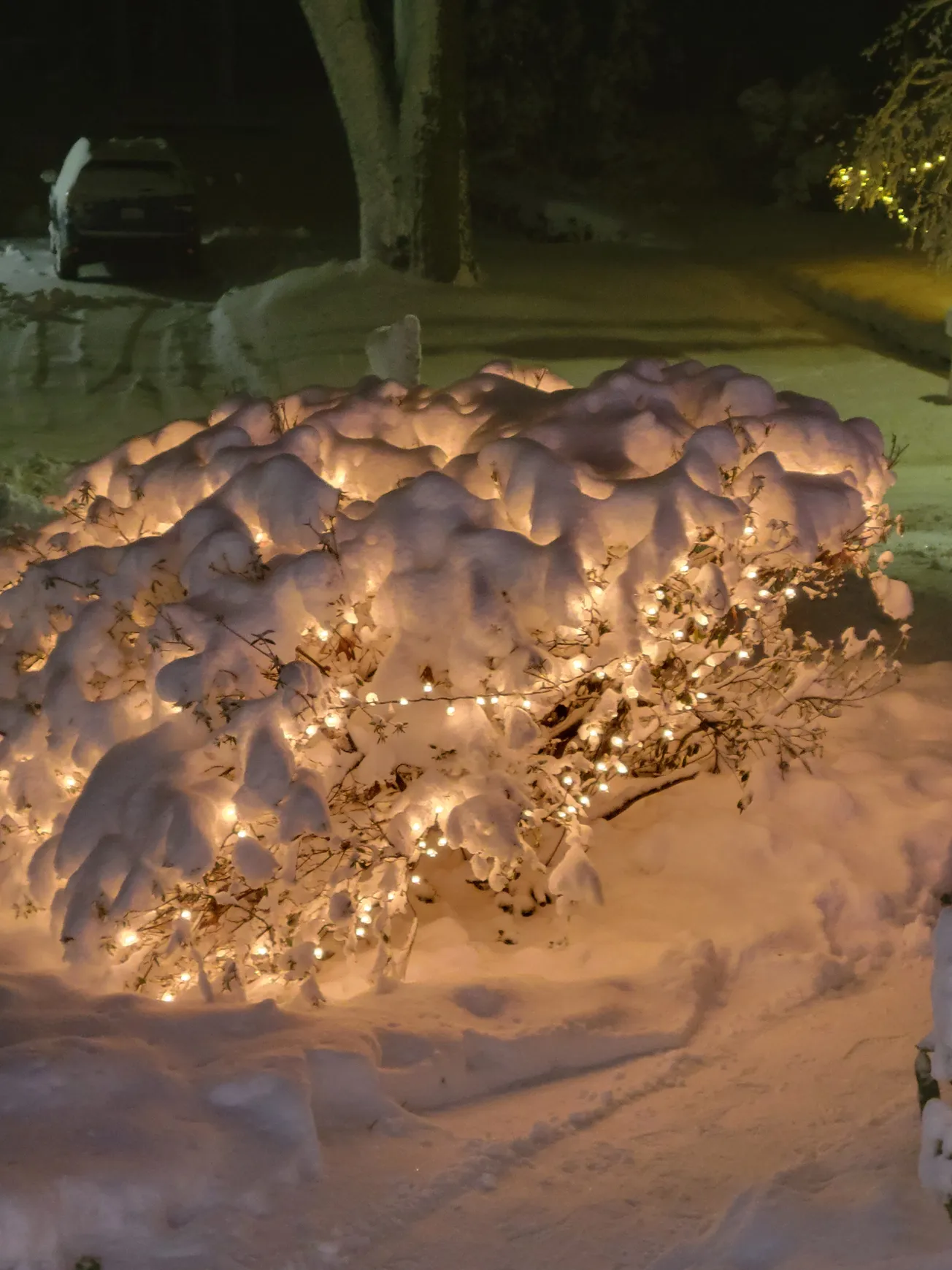 PHOTO GALLERY: Winchester residents show off their nor'easter snow days